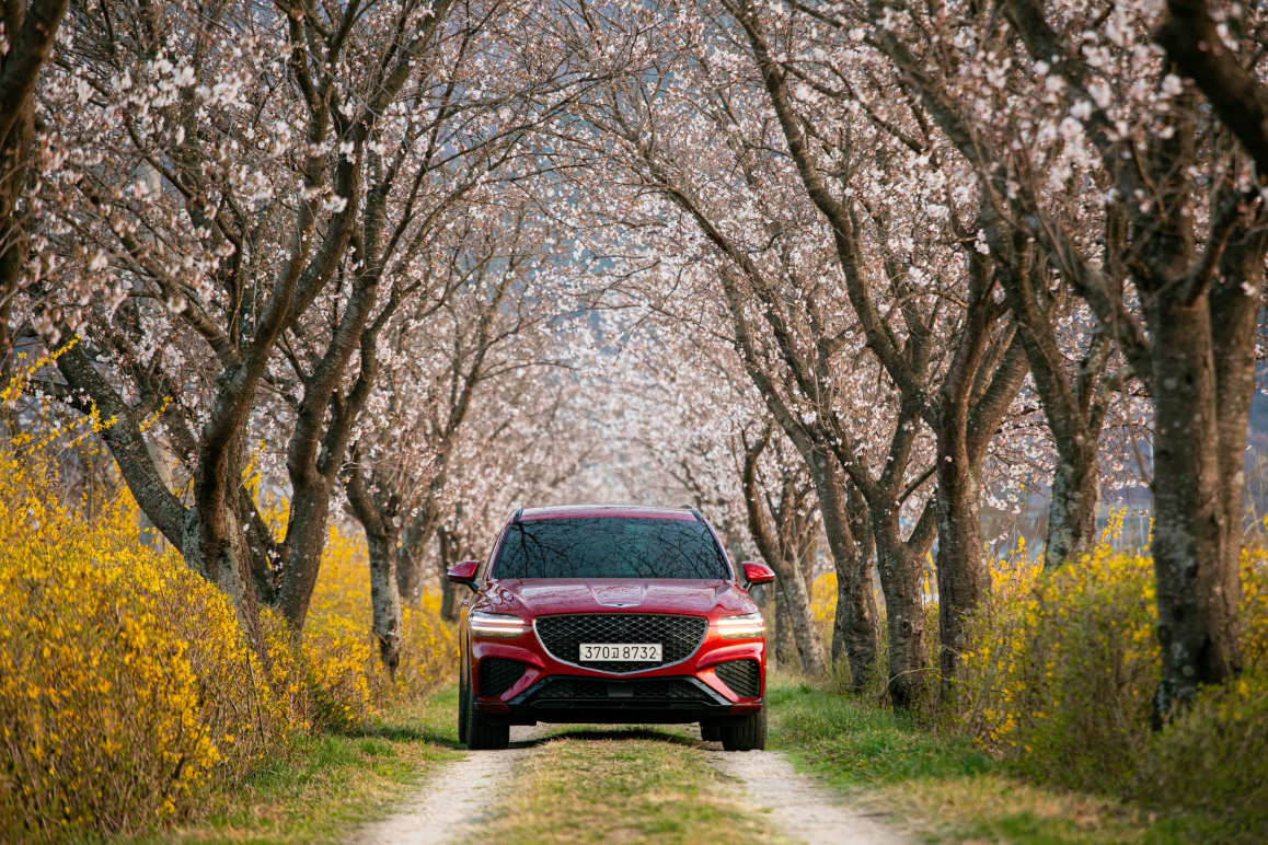 Die 3 größten Gefahren im Straßenverkehr im Frühling 🌸