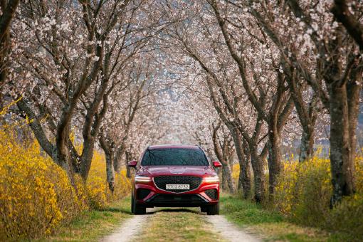 Ein Auto fährt im Frühling unter blühenden Bäumen. Es ist über die Versicherungs-App Sophia versichert.