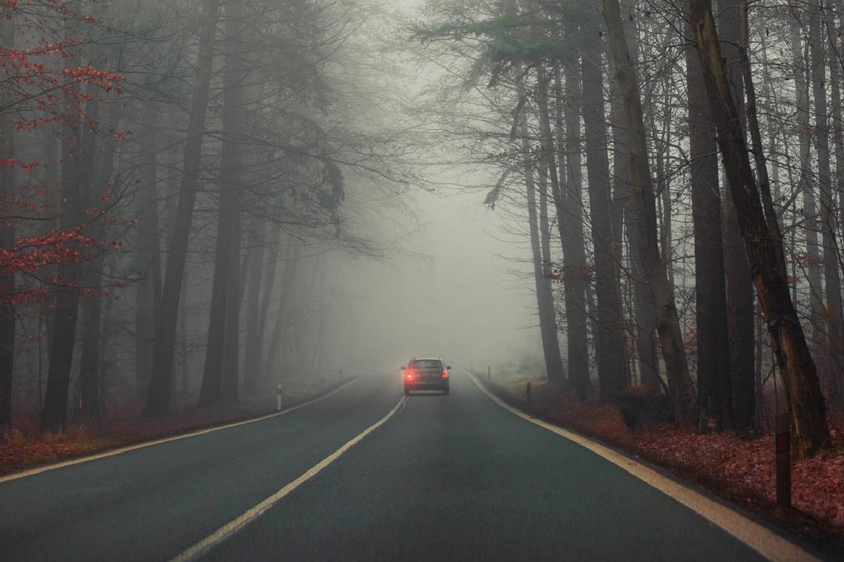 Ein Auto fährt bei Nebel auf einer Straße durch den Wald.