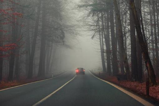 Ein Auto fährt bei Nebel auf einer Straße durch den Wald.