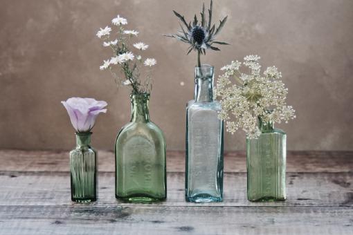Symbolbild zur Generali Krankenversicherung: Frische Blumen in Vasen stehen für Gesundheit, Auswahl und Flexibilität – passend zur privaten Krankenversicherung in Österreich.