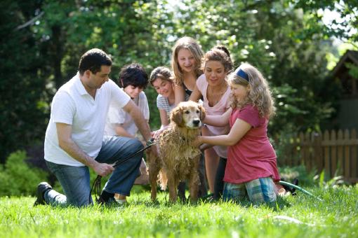 Eine junge Familie, die in einer Wiese sitzt und einen Hund streichelt. Alle sind über eine Versicherung für Familien über die Versicherungs-App Sophia versichert.