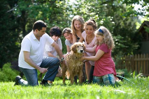 Eine junge Familie, die in einer Wiese sitzt und einen Hund streichelt. Alle sind über eine Versicherung für Familien über die Versicherungs-App Sophia versichert.