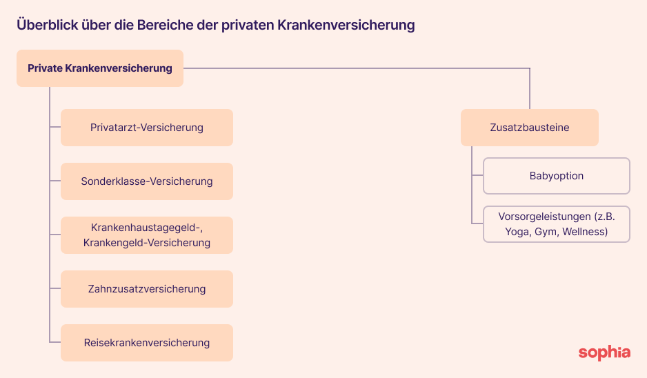 Eine Grafik, die die Aufteilung der privaten Krankenversicherung in Österreich darstellt.